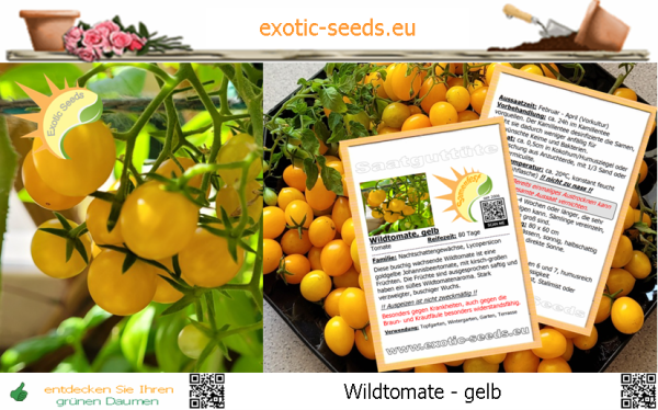 Tomate * Wildtomate gelb * goldgelbe Johannisbeertomate * 30-1.000 Samen